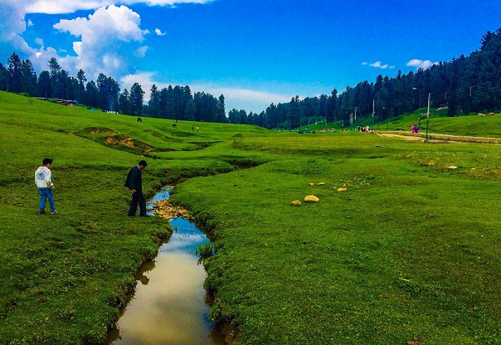 A Day of Enchantment, Unveiling the Hidden Gems of Paradise: Day 4 in Yusmarg, Kashmir